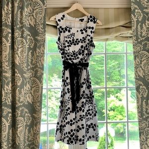 TALBOTS FIT AND FLARE BLACK/WHITE DRESS